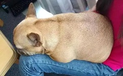 美沙阿印四国拟联合打造中东铁路网